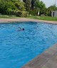 Nuoto Ragazzi HTN